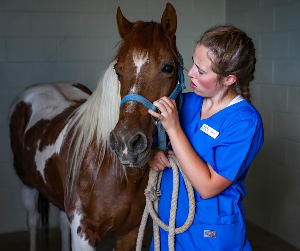 The Role of Keepers and Veterinary Teams