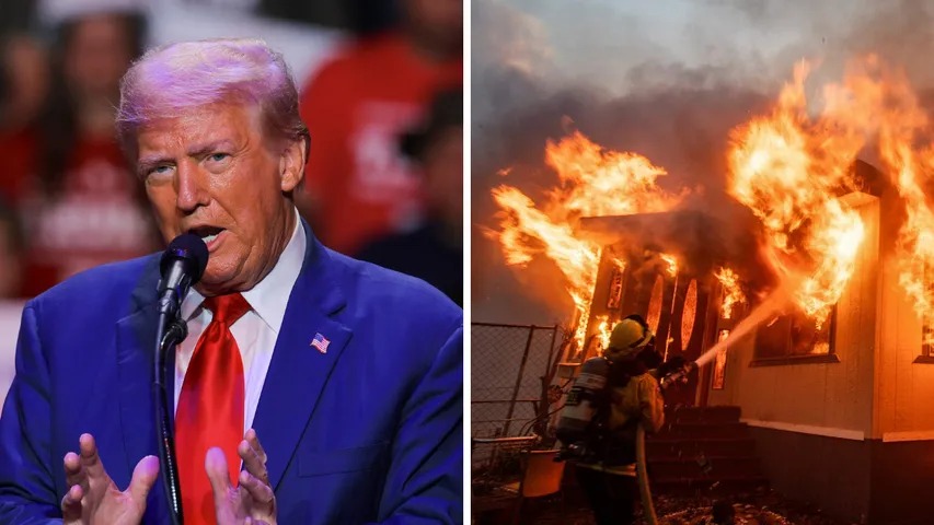 California Wildfires: Trump Criticizes State Leadership