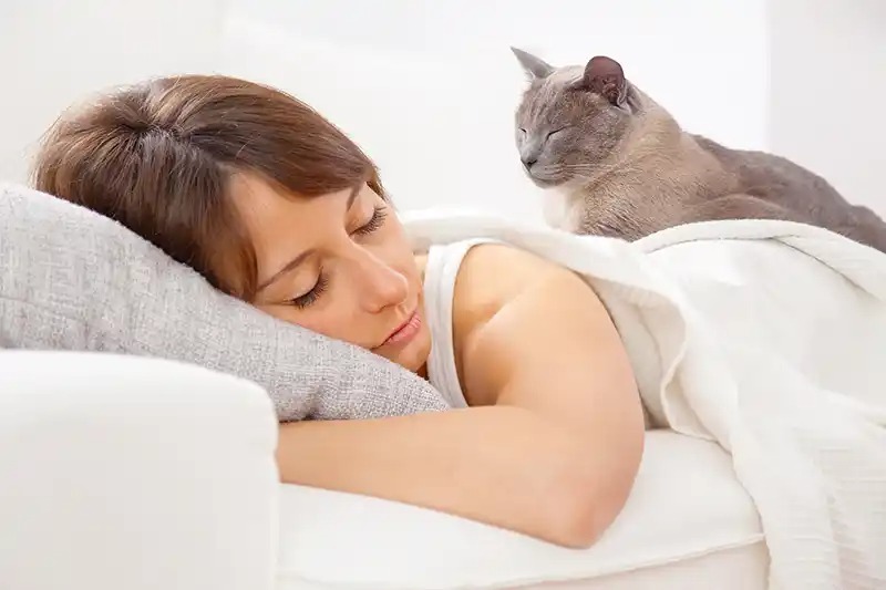 Sleeping with your cat