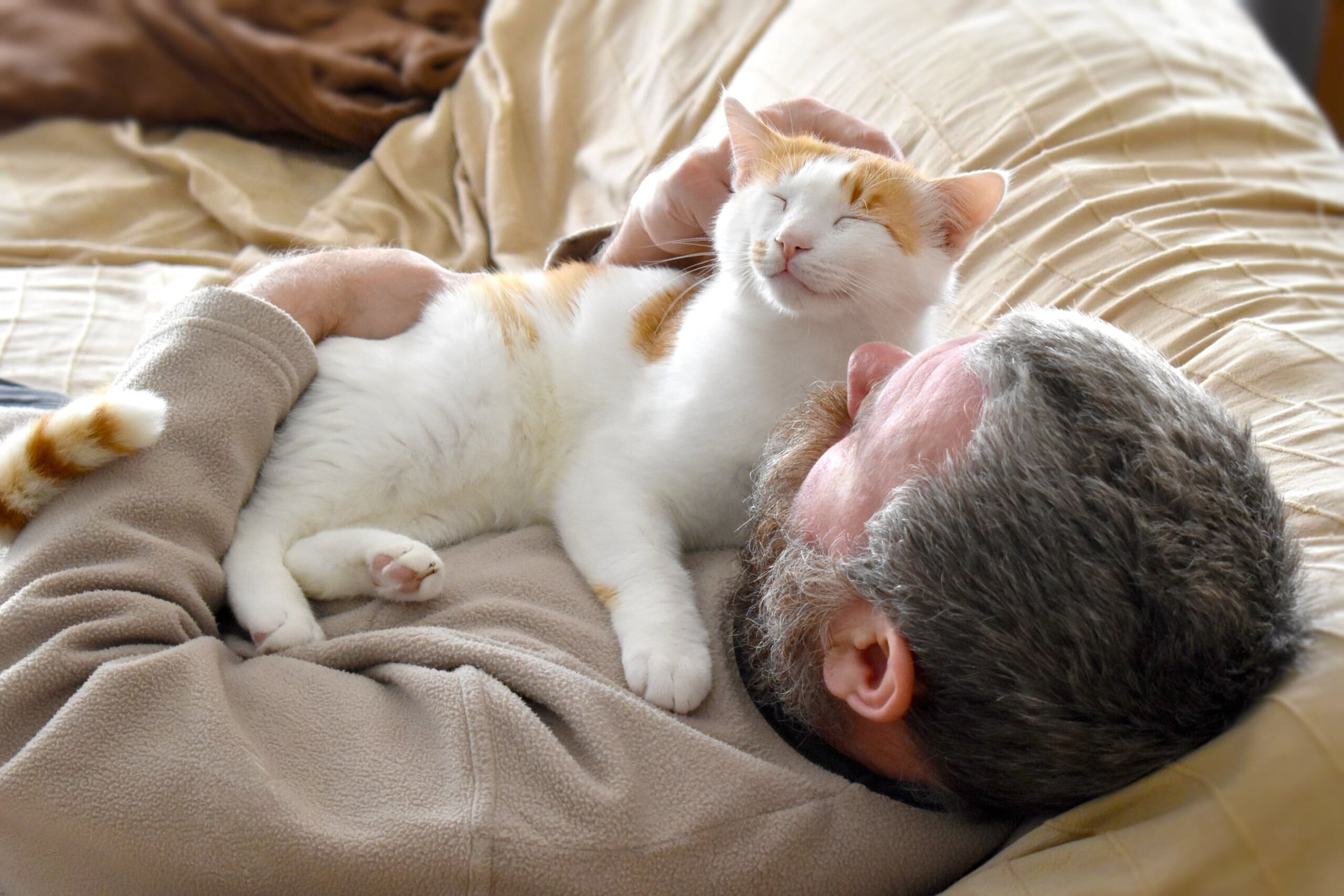 Sleeping With Your Cat: Pros and Cons