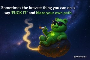 HT17. Why This Chill Green Bear Might Inspire You to Rethink Life