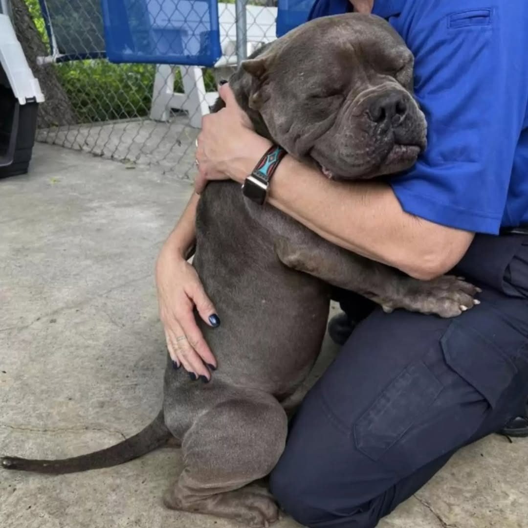 AN. Relieved Shelter Dog Thanks His Rescuers With Biggest Hugs