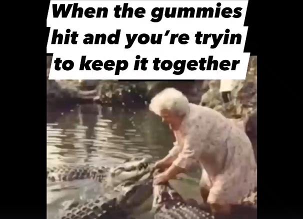 HT17. When the gummies kick in and you’re just tryna hold it together