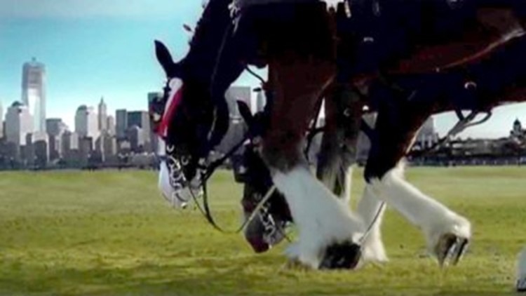 HT17. The 9/11 Budweiser Commercial That Aired Only Once and Still Moves America