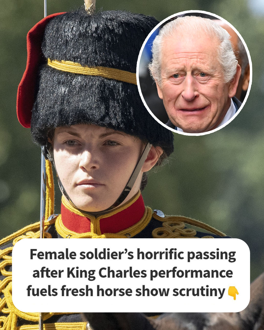AN. Female soldier’s horrific death after King Charles performance fuels fresh horse show scrutiny