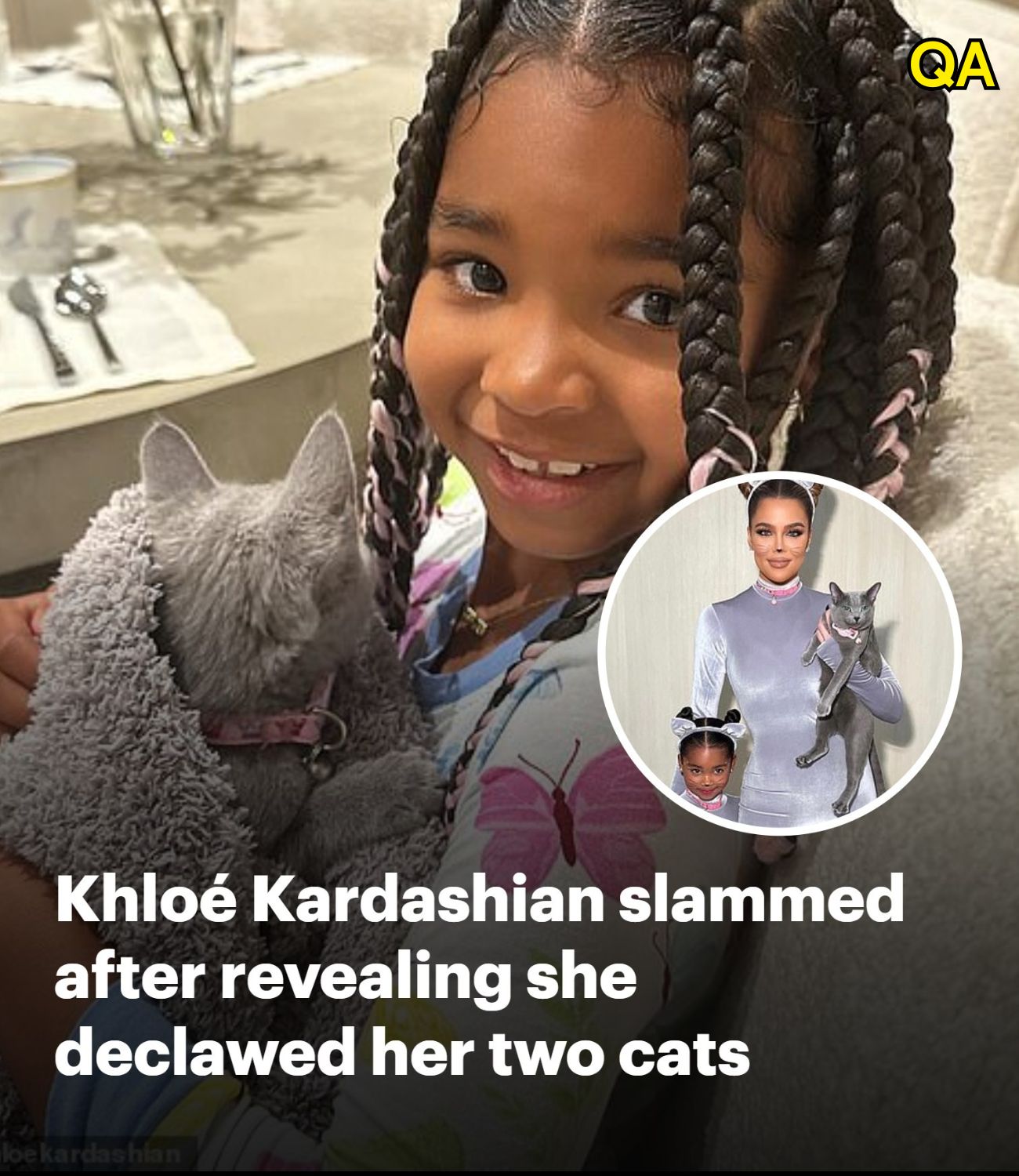DG. Khloe Kardashian condemned after putting cats through procedure
