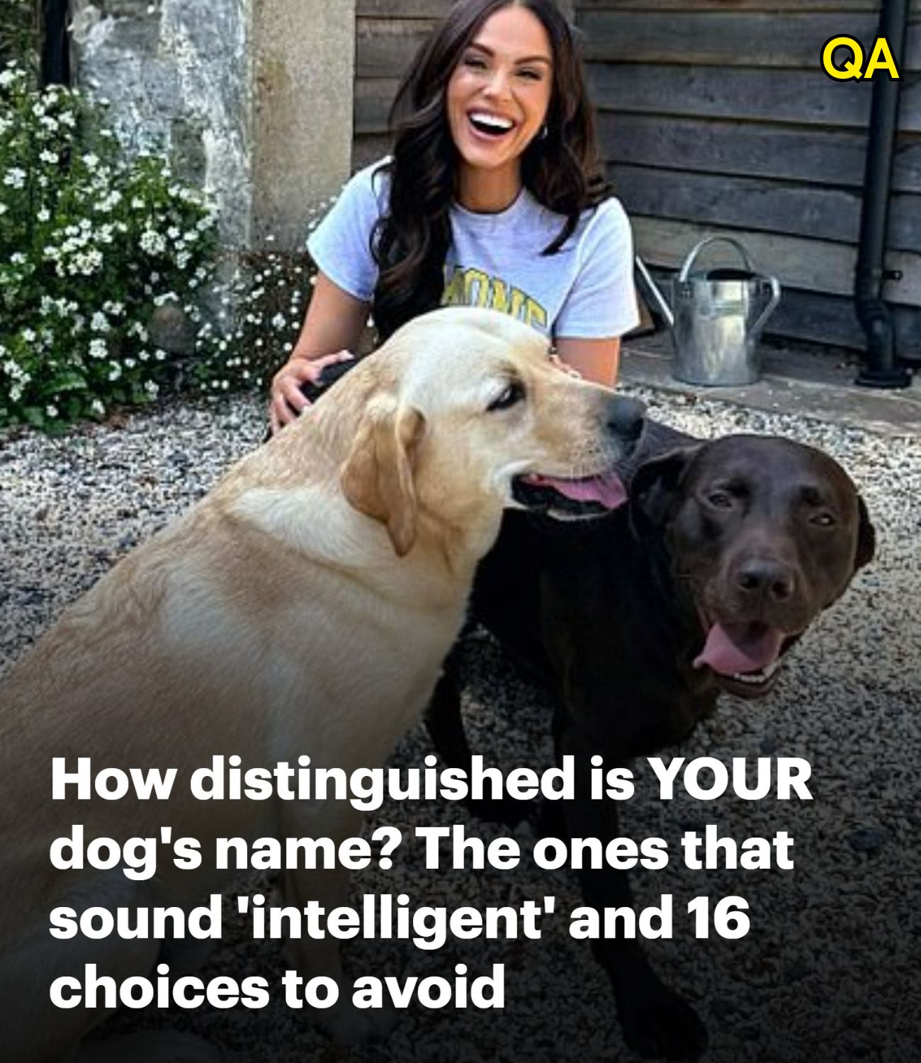 DG. How distinguished is YOUR dog’s name?